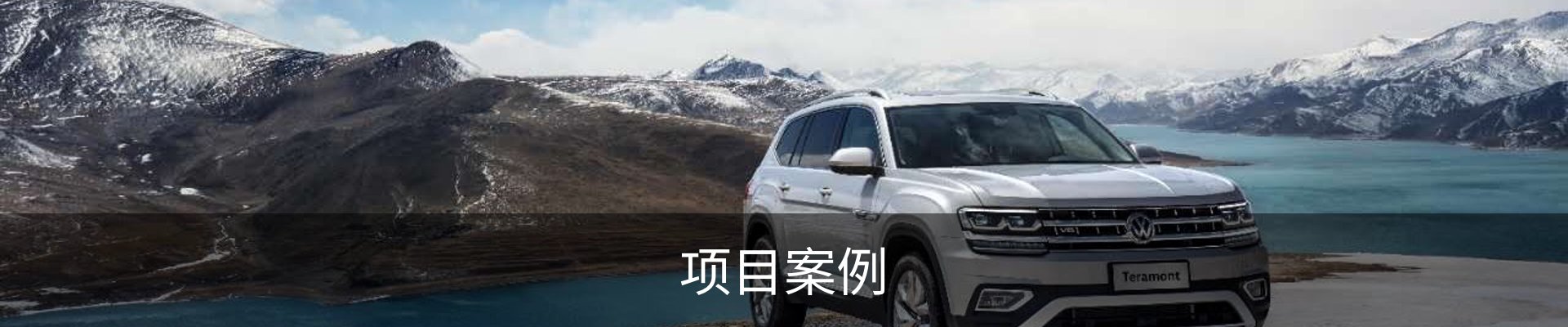 项目案例